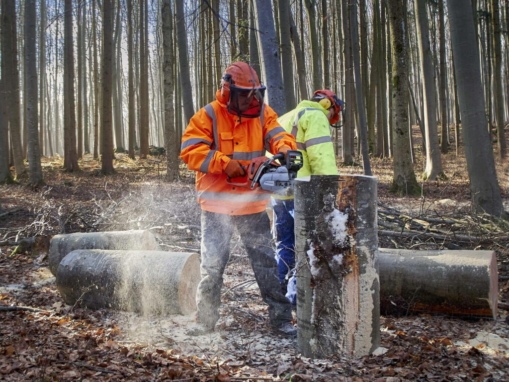 deux hommes en train de couper des troncs d'arbres à la tronçonneuse