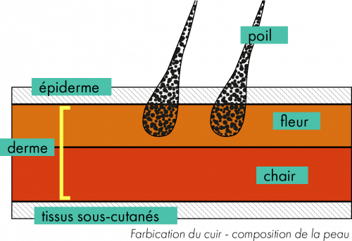 schéma de la composition du cuir