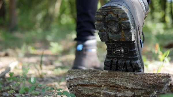 dessous d'une chaussure d'une personne marchant dans la forêt