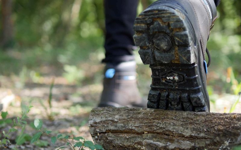 dessous d'une chaussure d'une personne marchant dans la forêt