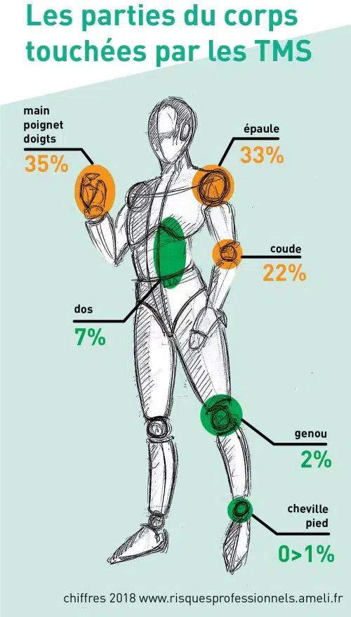 dessin schéma d'un homme avec des parties de son corps surlignés en orange et en vert