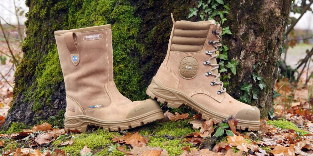 botte et rangers marron devant un arbre dans les feuilles