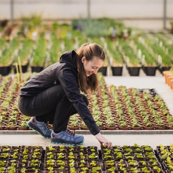 jeune femme souriante accroupi dans une serre de plantes