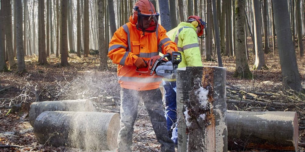 deux hommes en train de couper des troncs d'arbres à la tronçonneuse